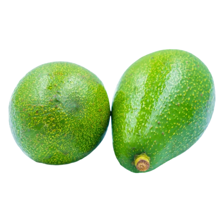 Fuerte Avocado