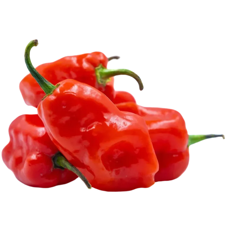 Red Habanero