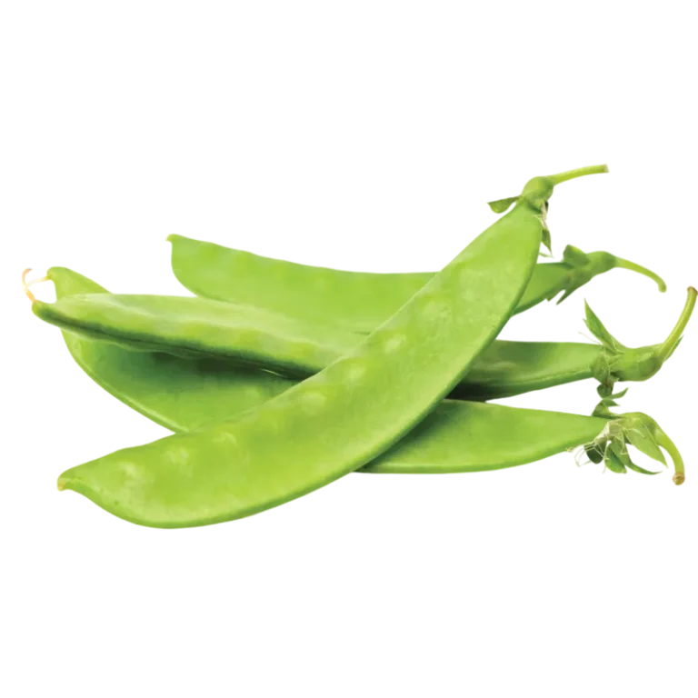Fresh Snow Peas