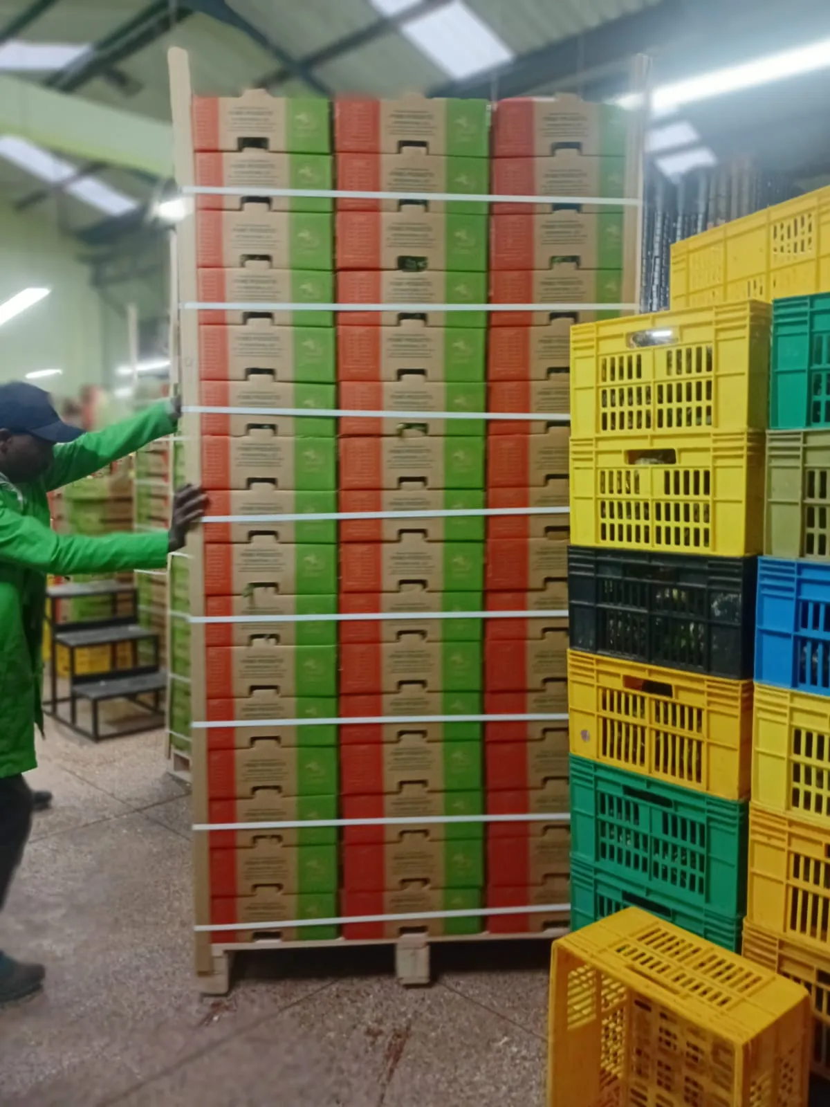 Export Ready Pallets