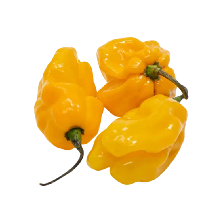 Yellow Habanero